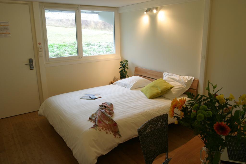 Hotel Pierre Blanche Chatillon-en-Michaille Rum bild